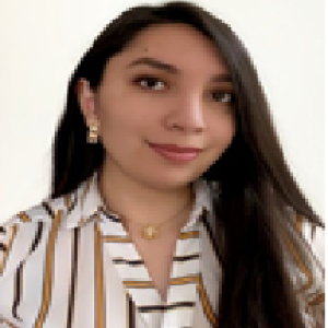 MERCEDES ELIZABETH REYES SEGOVIA MERCEDES ELIZABETH REYES SEGOVIA